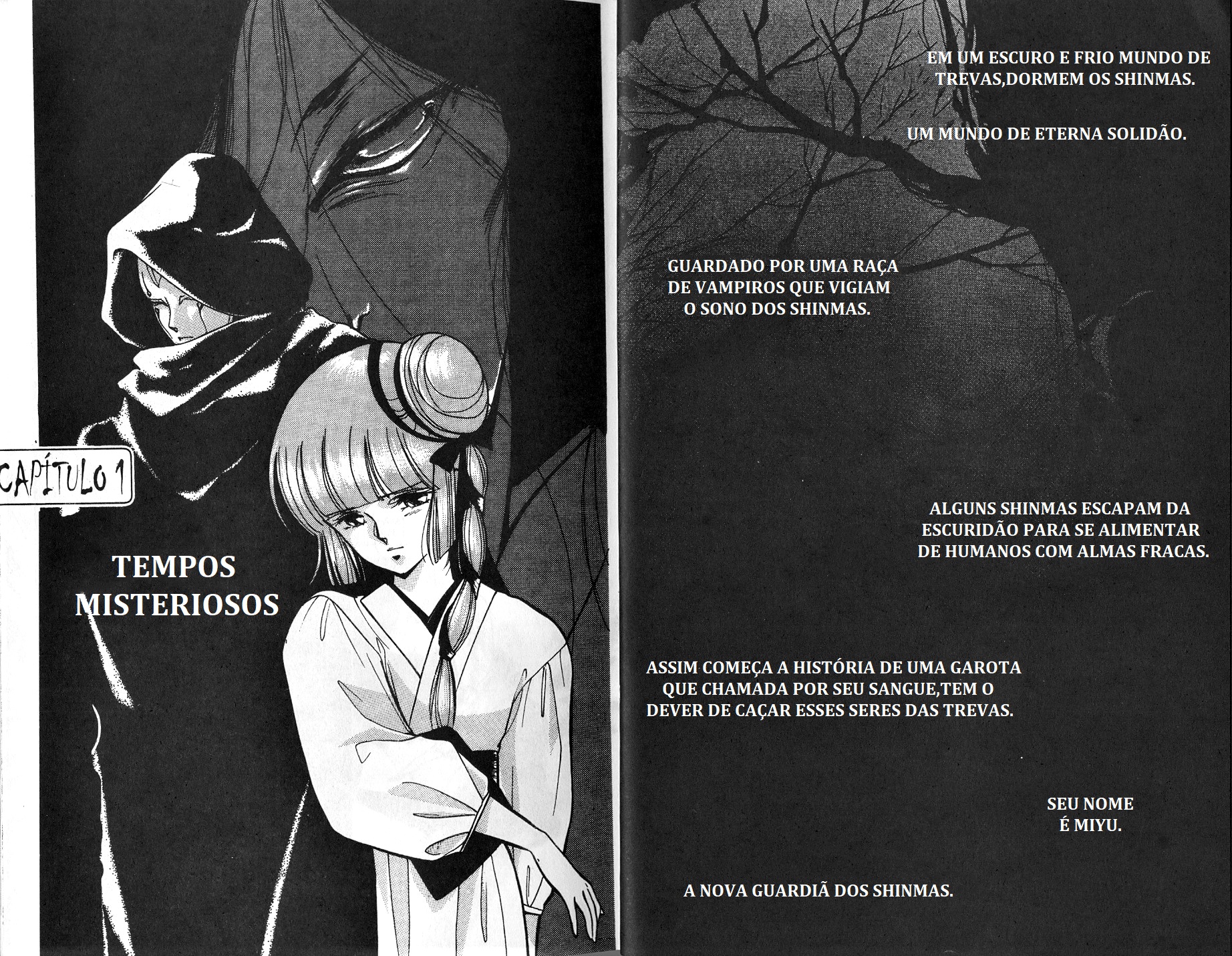 Vampire Princess Miyu Tempos misteriosos 第12页