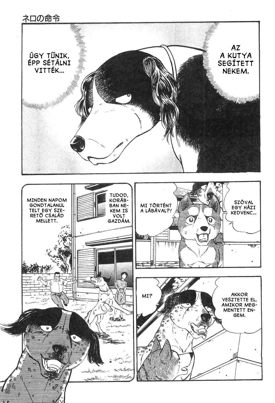 Ginga Densetsu Weed Nero parancsa 第16页