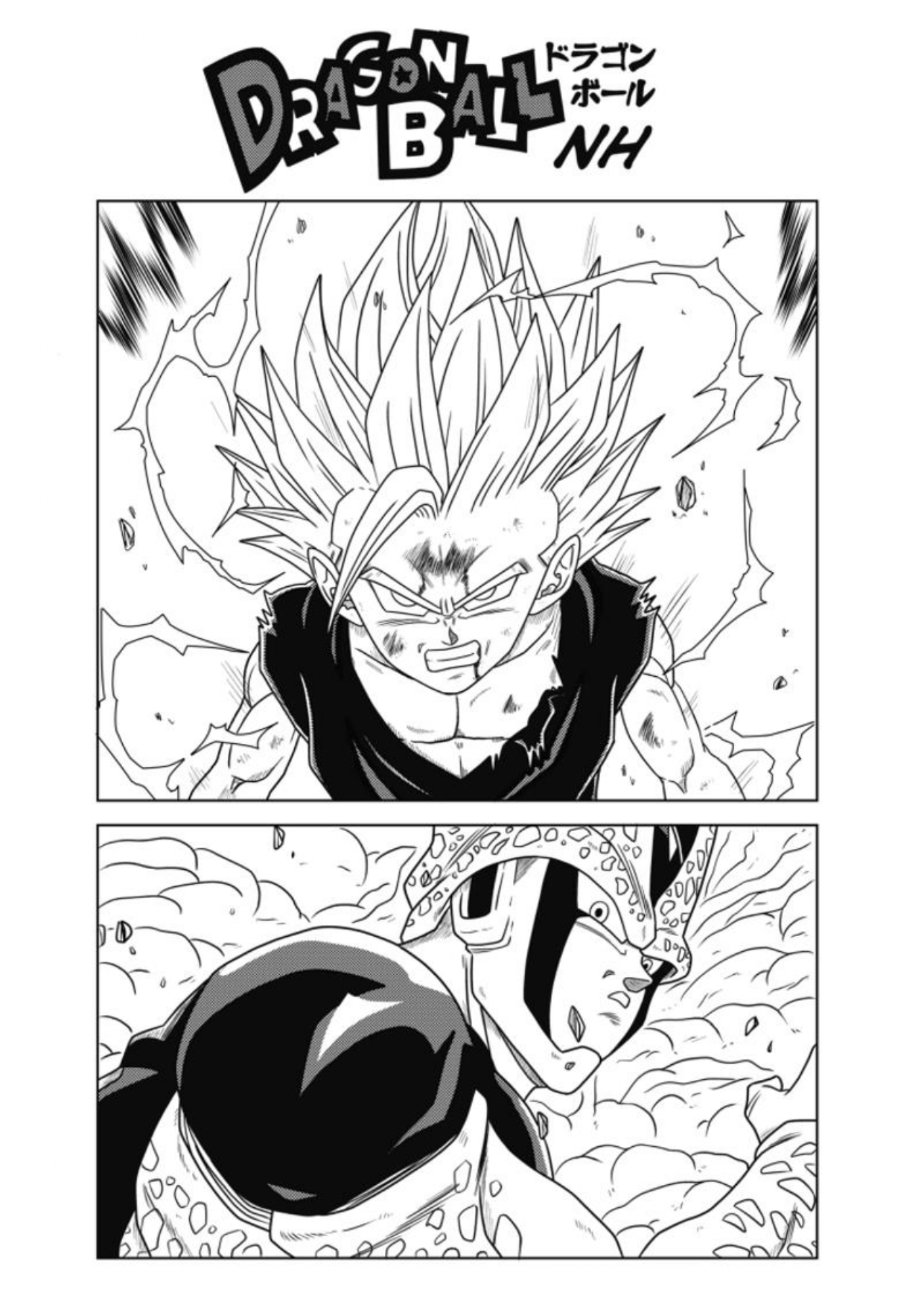 Dragon Ball - New Hope Una oscura derrota 第3页
