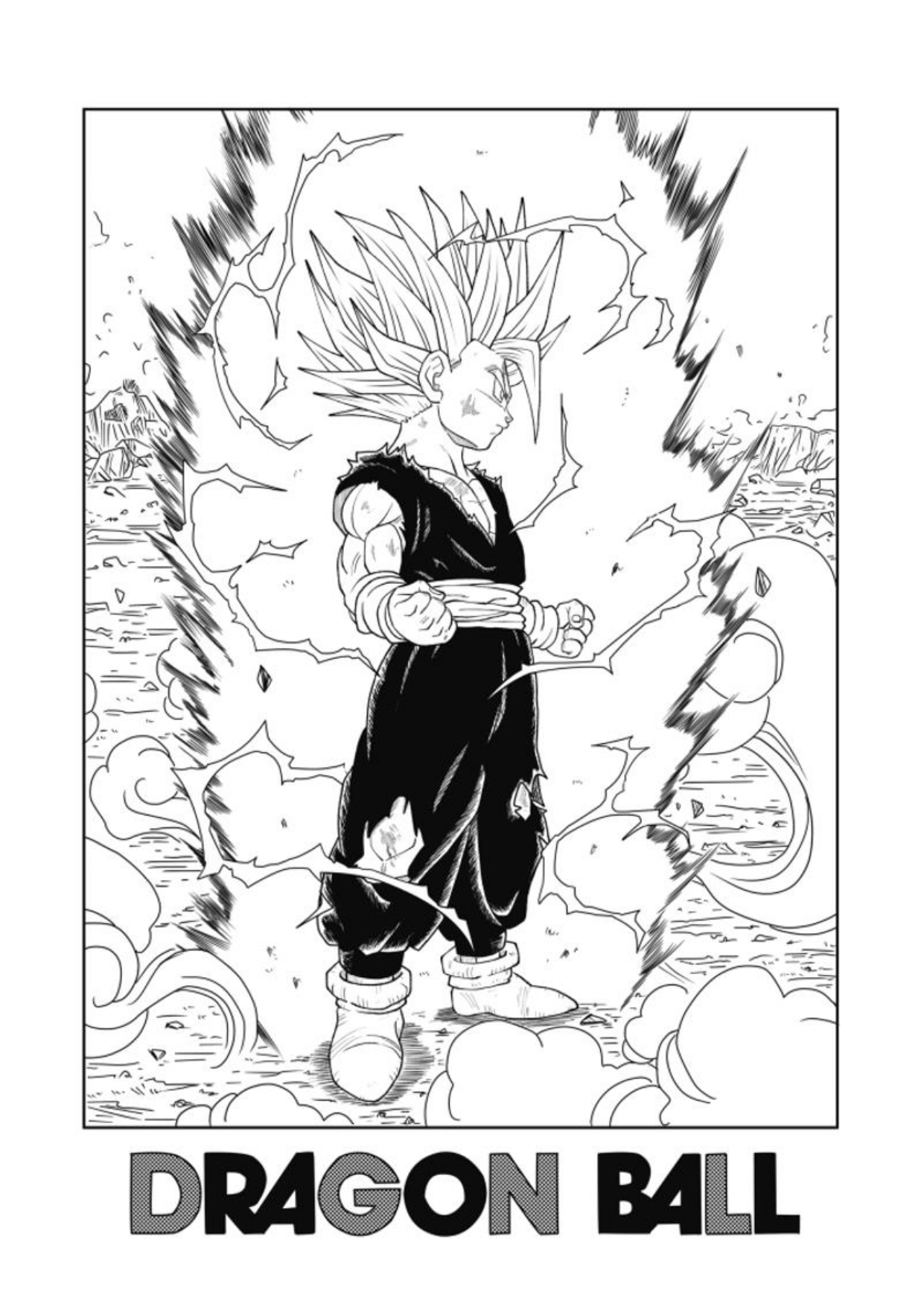 Dragon Ball - New Hope Una oscura derrota 第4页