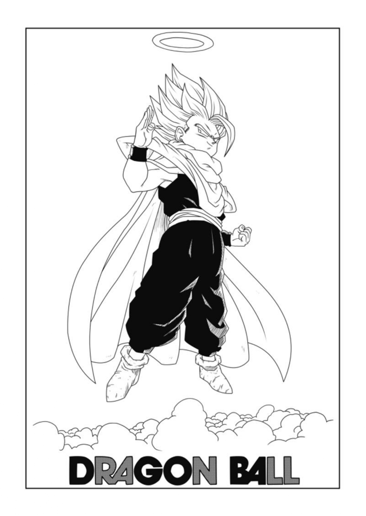 Dragon Ball - New Hope Una oscura derrota 第40页