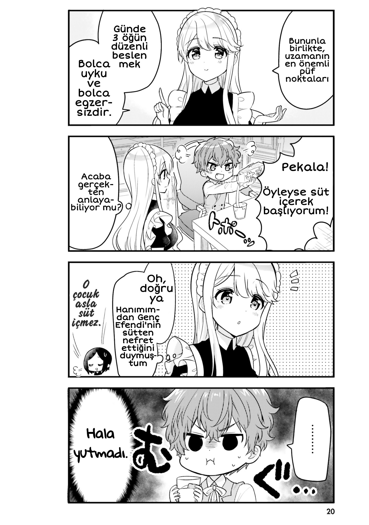 Tekito na Maid no Oneesan & Erasou de Ichizu na Botchan Chapter 2 第7页