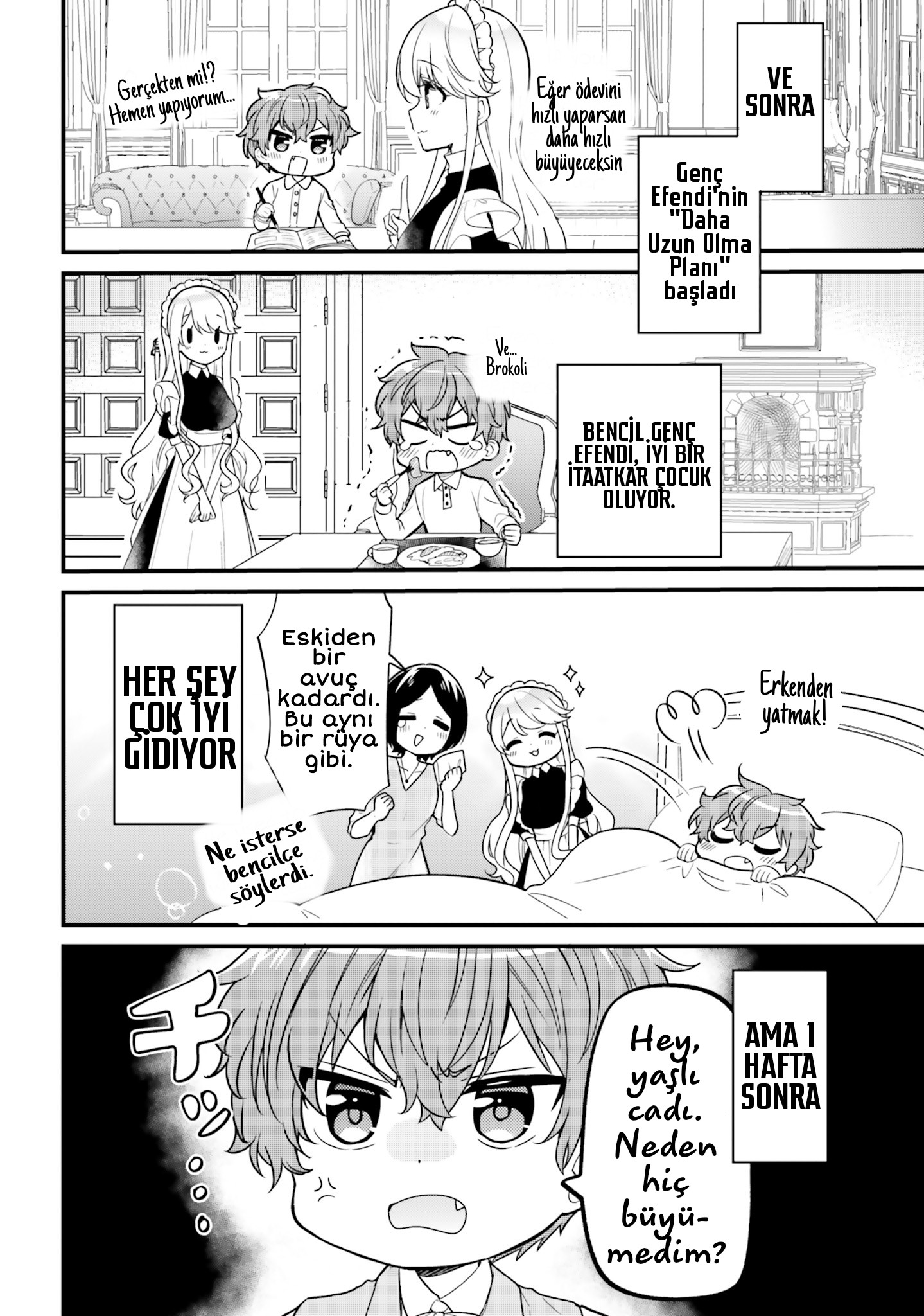 Tekito na Maid no Oneesan & Erasou de Ichizu na Botchan Chapter 2 第9页