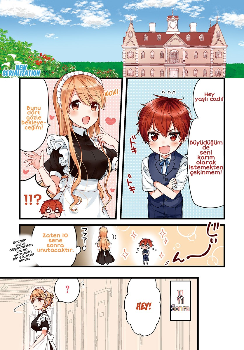 Tekito na Maid no Oneesan & Erasou de Ichizu na Botchan Chapter 1 第1页
