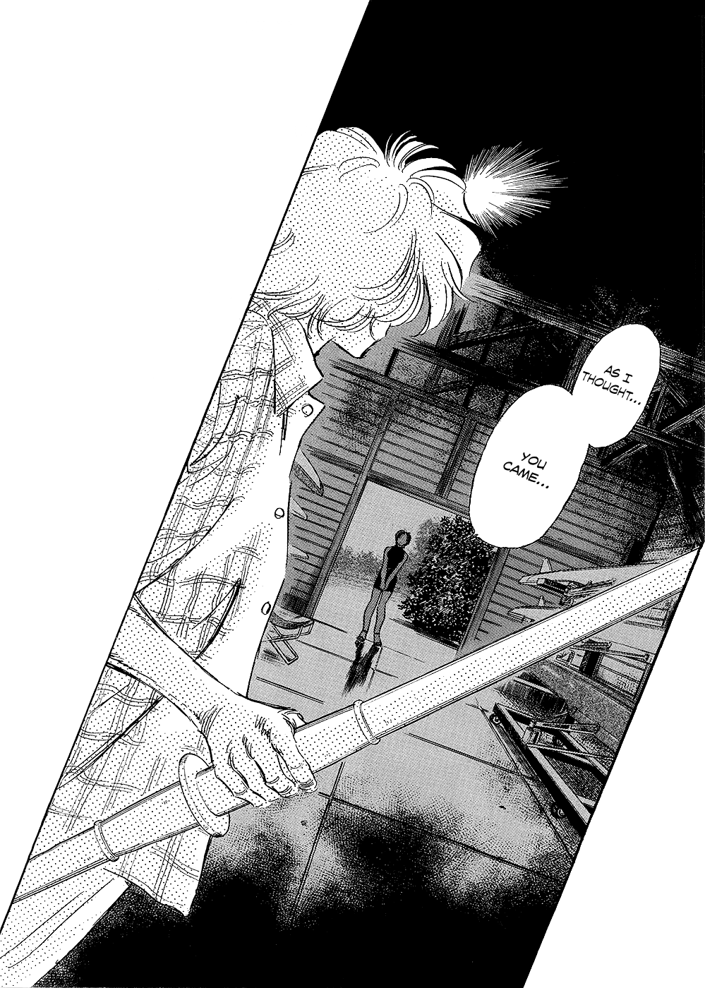 Regatta The Legendary Double Scull 第25页