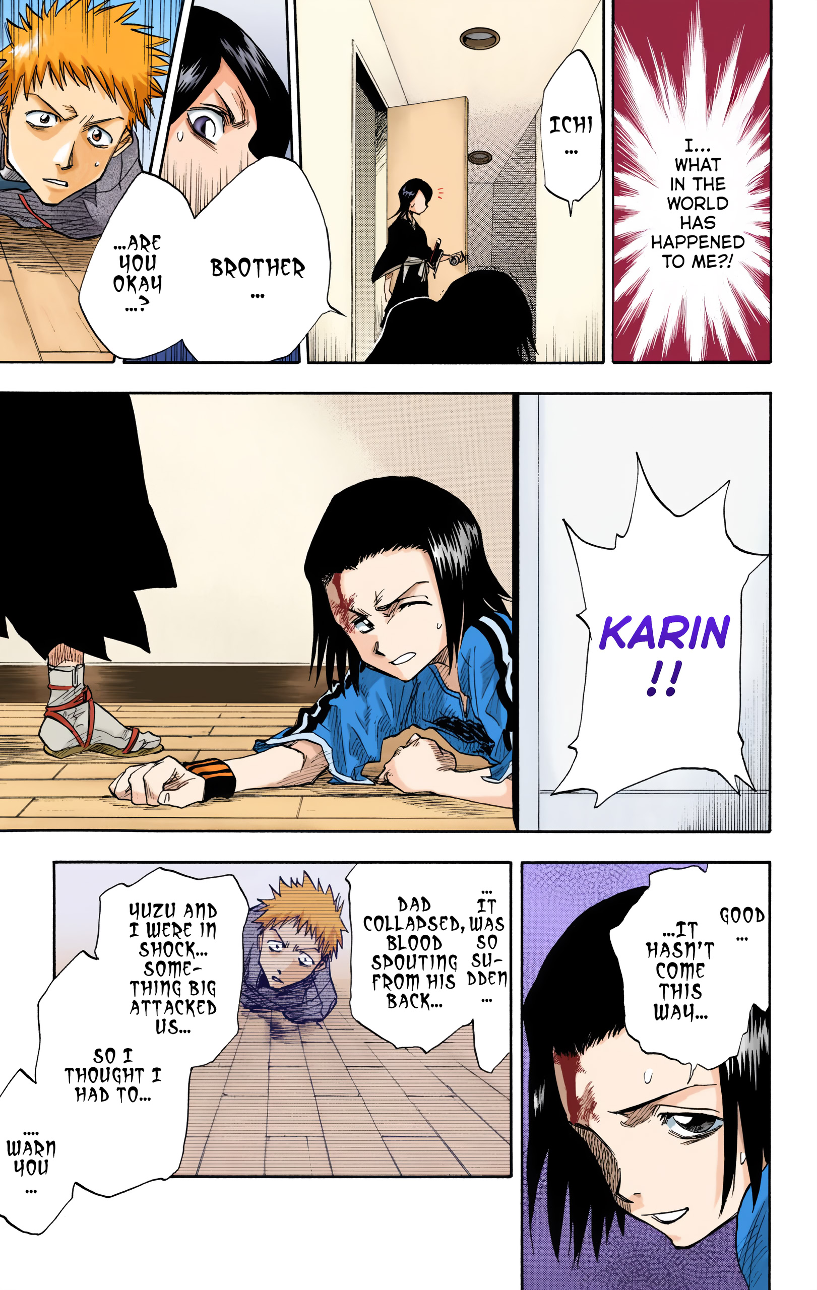 Bleach (Official Colored) Death & Strawberry 第29页