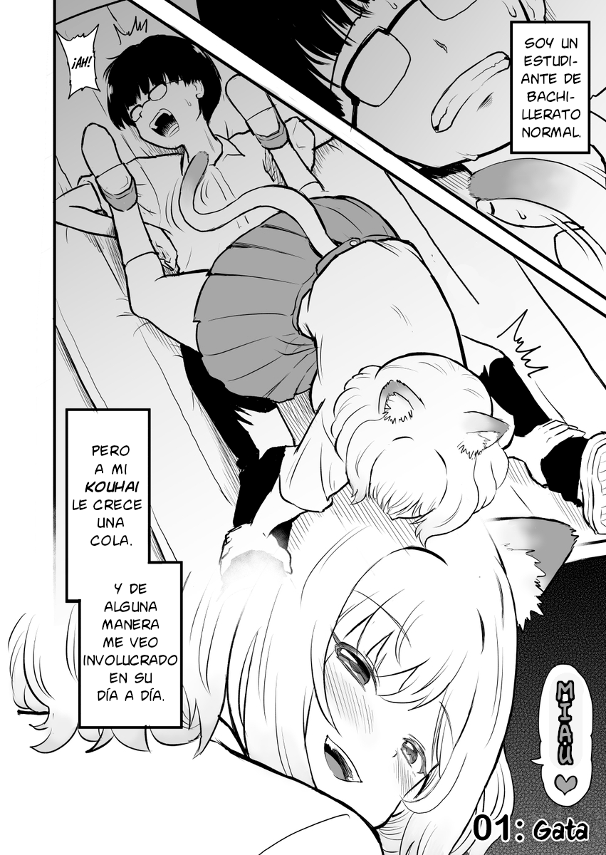 Higawari Shippo no Ozaki-chan Gata 第2页