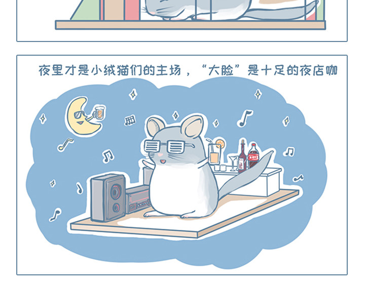 我家有只小龙猫 第1个小故事集合 第11页