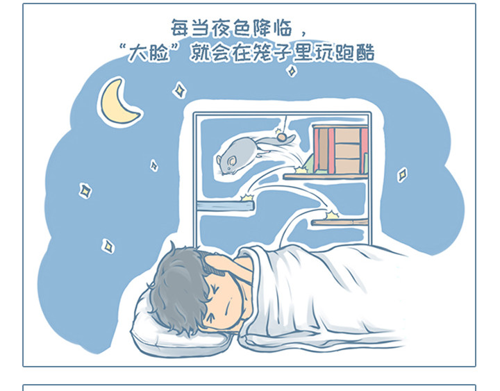 我家有只小龙猫 第1个小故事集合 第12页