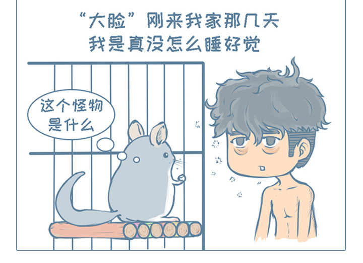 我家有只小龙猫 第1个小故事集合 第13页