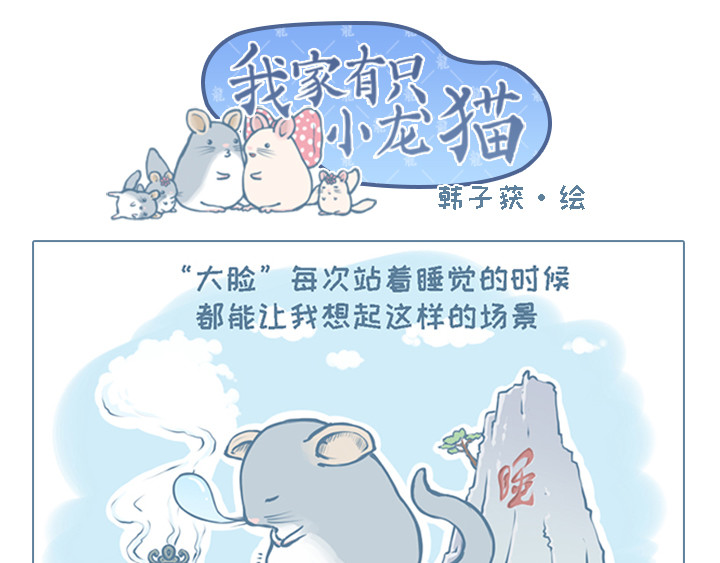 我家有只小龙猫 第1个小故事集合 第14页