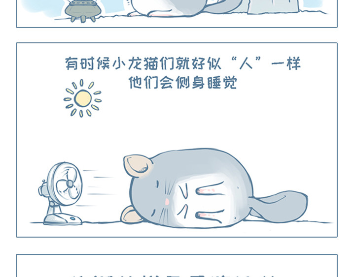 我家有只小龙猫 第1个小故事集合 第15页