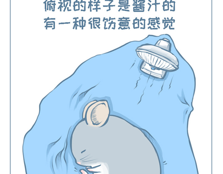 我家有只小龙猫 第1个小故事集合 第16页