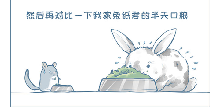我家有只小龙猫 第1个小故事集合 第20页