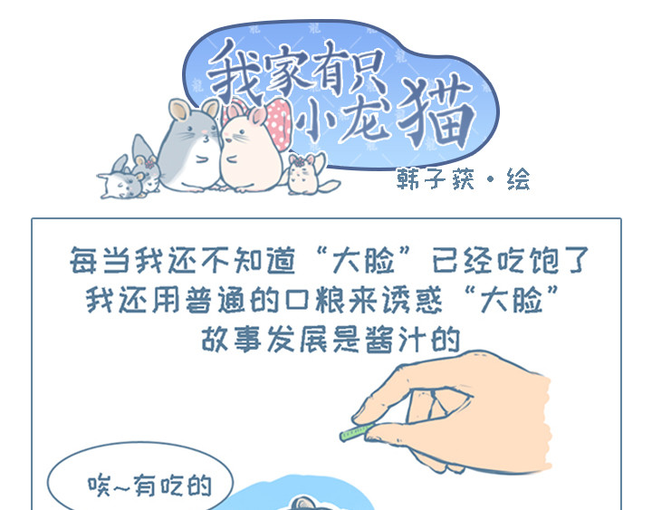 我家有只小龙猫 第2个小故事集合 第1页