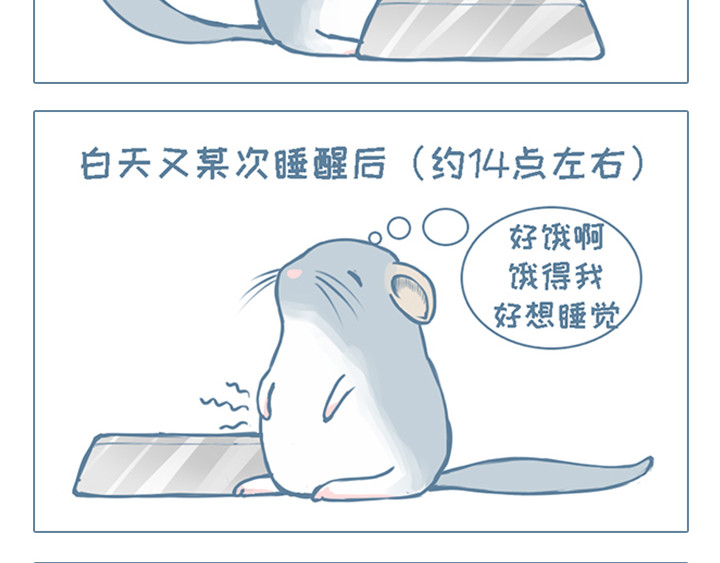 我家有只小龙猫 第2个小故事集合 第13页