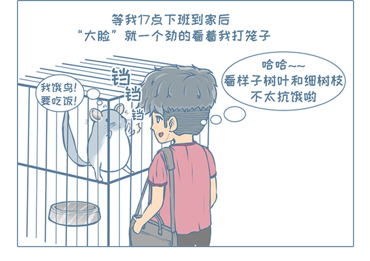 我家有只小龙猫 第2个小故事集合 第14页