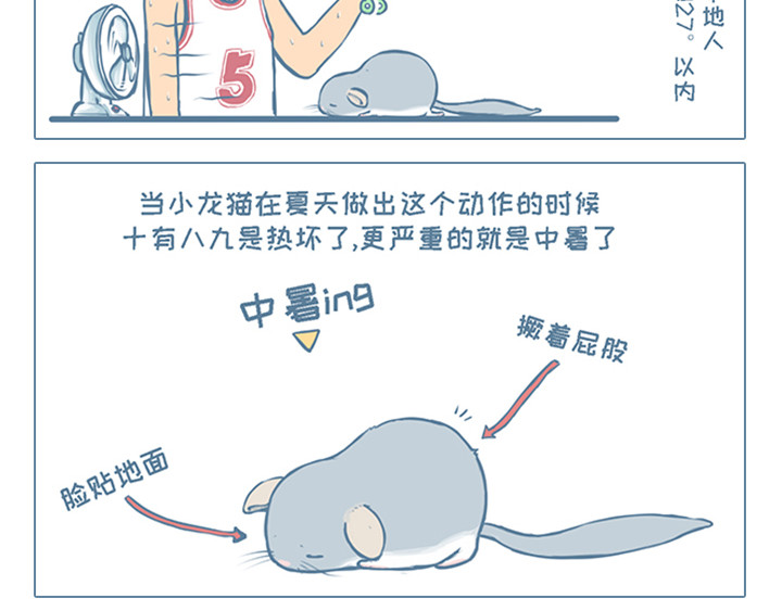 我家有只小龙猫 第2个小故事集合 第16页