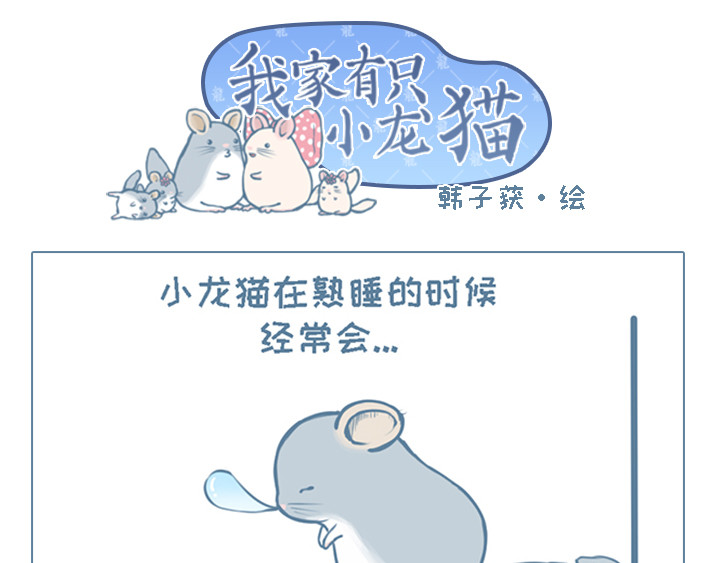 我家有只小龙猫 第2个小故事集合 第18页