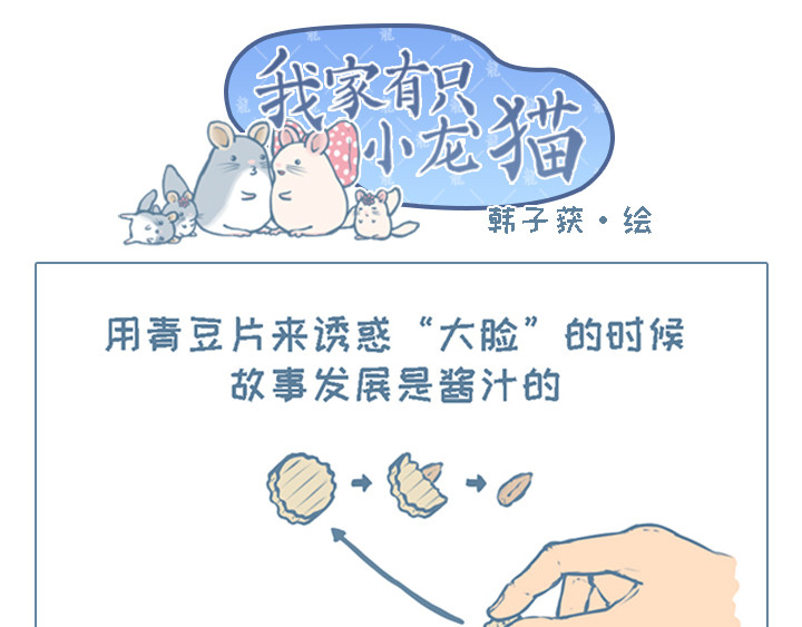 我家有只小龙猫 第2个小故事集合 第5页