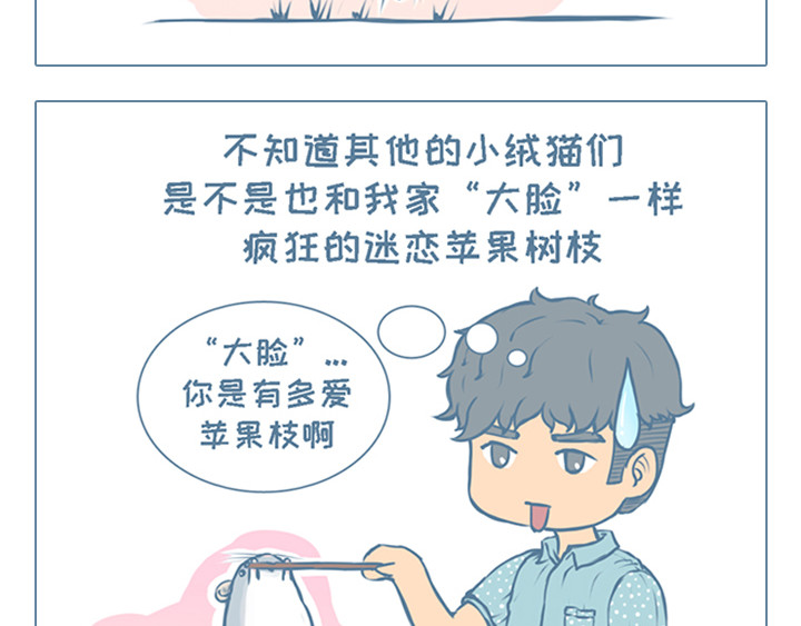 我家有只小龙猫 第2个小故事集合 第9页