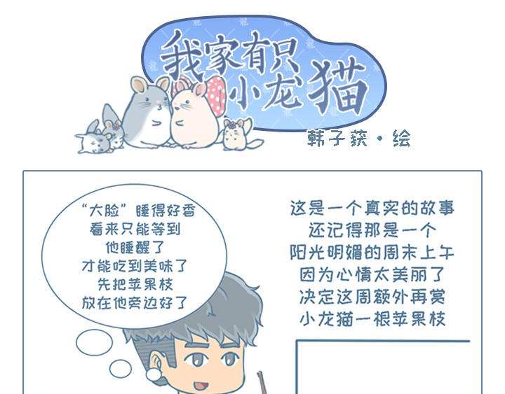 我家有只小龙猫 第3个小故事集合 第1页