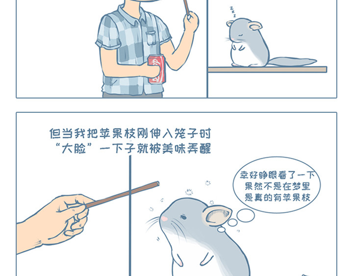 我家有只小龙猫 第3个小故事集合 第2页