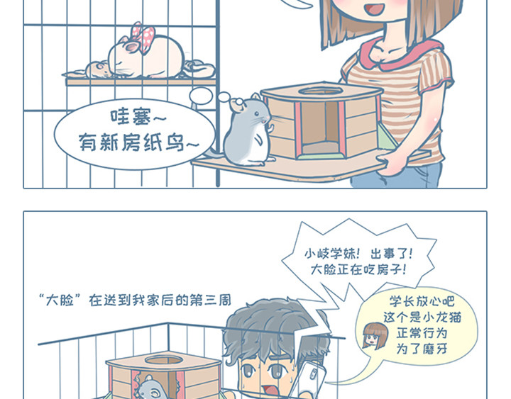 我家有只小龙猫 第3个小故事集合 第14页