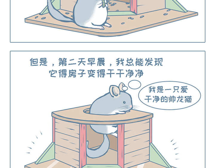 我家有只小龙猫 第3个小故事集合 第18页