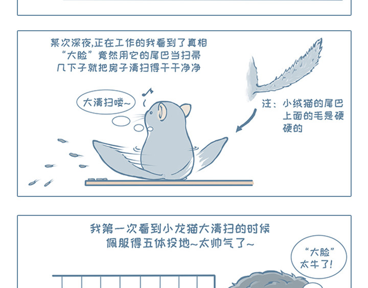 我家有只小龙猫 第3个小故事集合 第20页