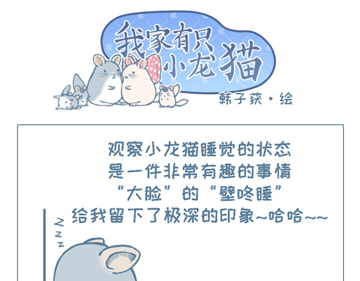 我家有只小龙猫 第3个小故事集合 第8页