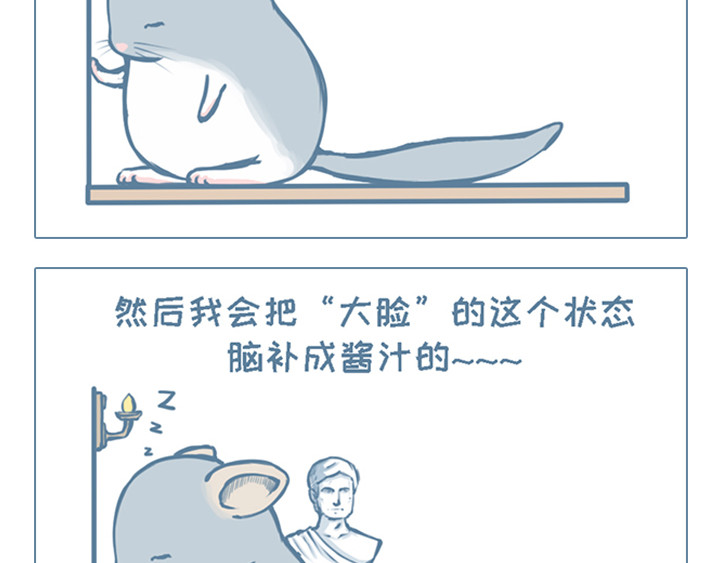 我家有只小龙猫 第3个小故事集合 第9页