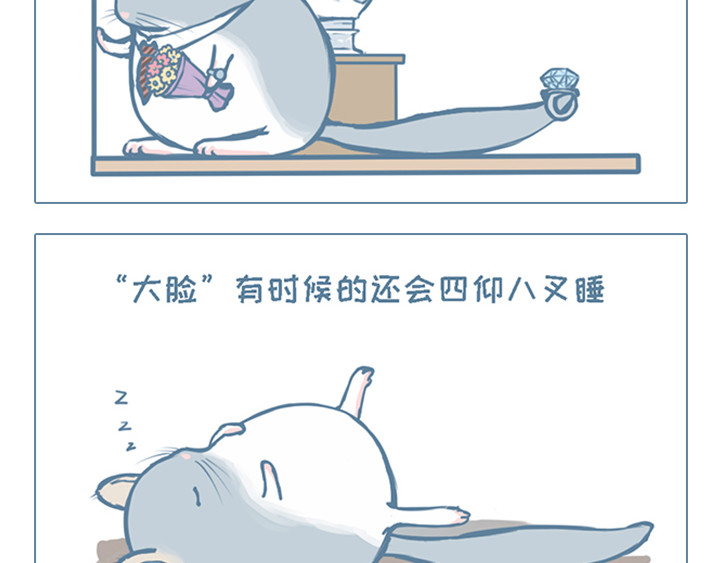 我家有只小龙猫 第3个小故事集合 第10页