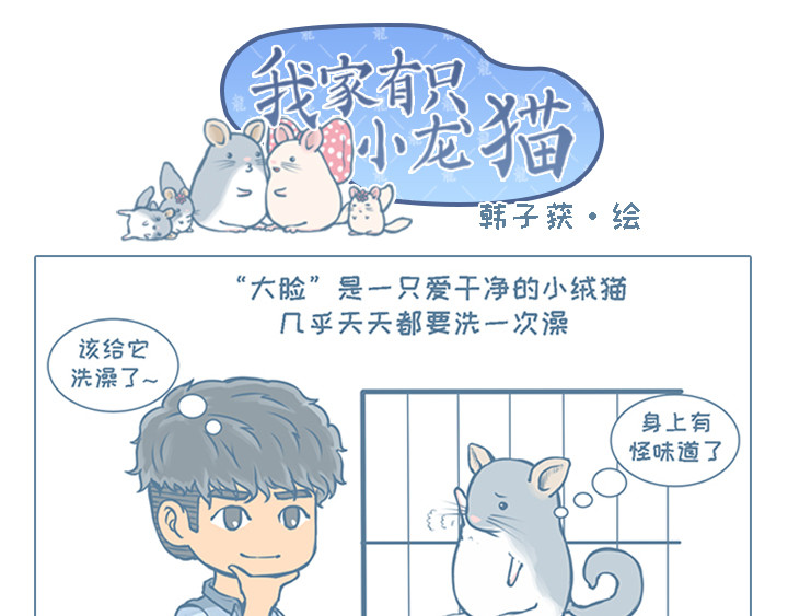 我家有只小龙猫 第4个小故事集合 第1页