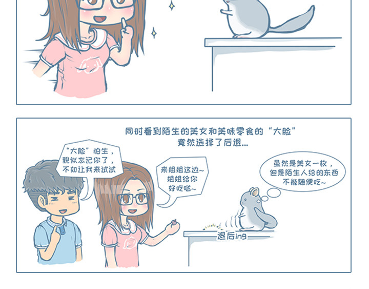 我家有只小龙猫 第4个小故事集合 第11页