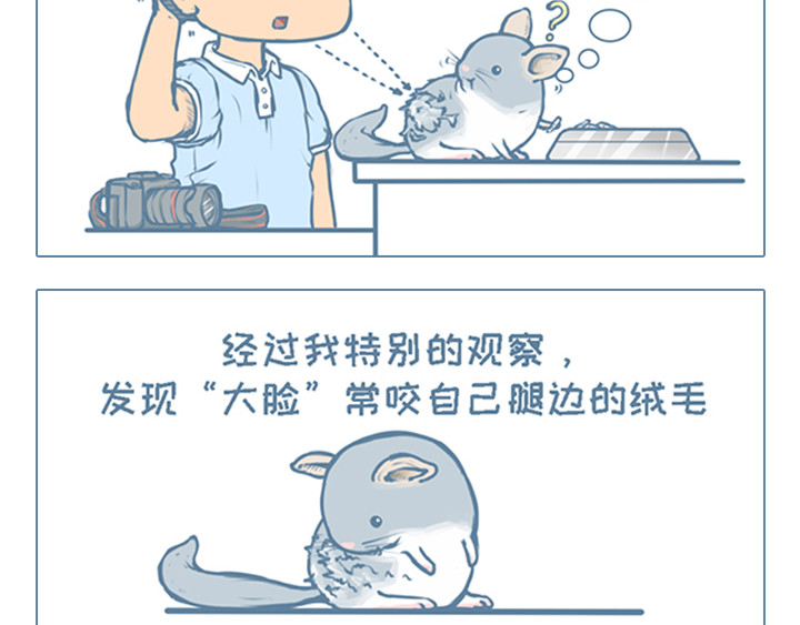 我家有只小龙猫 第4个小故事集合 第14页