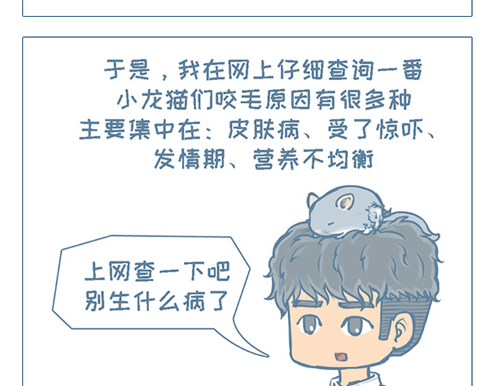 我家有只小龙猫 第4个小故事集合 第15页