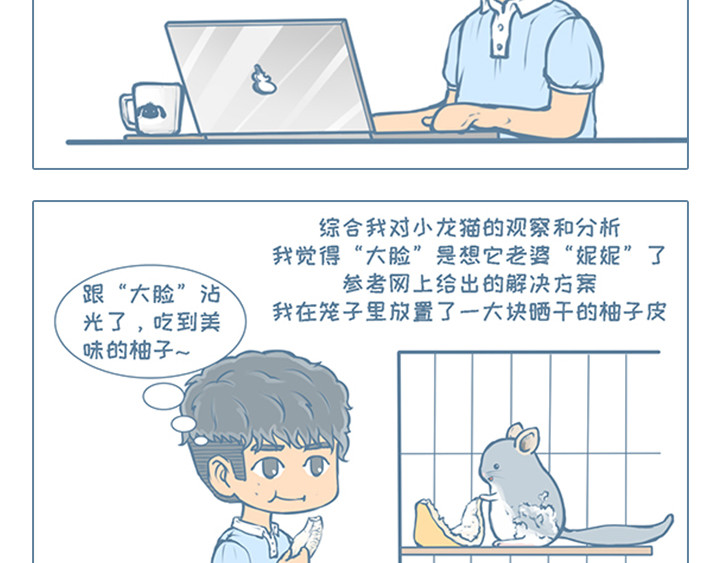 我家有只小龙猫 第4个小故事集合 第16页