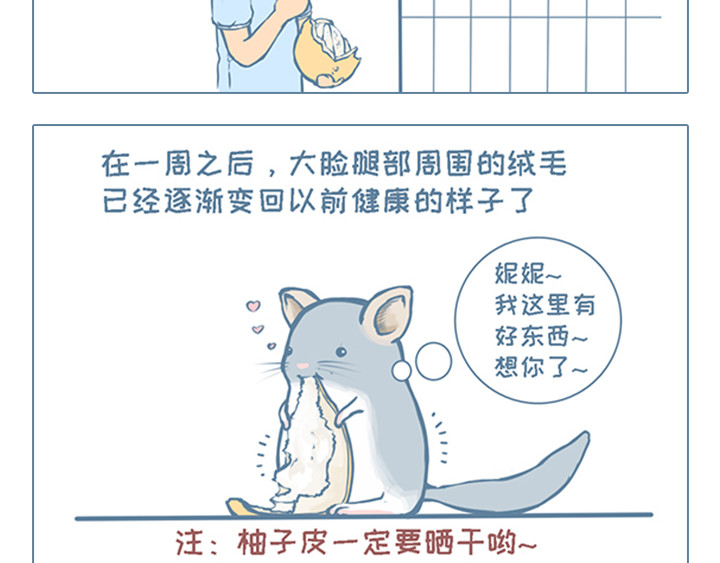 我家有只小龙猫 第4个小故事集合 第17页