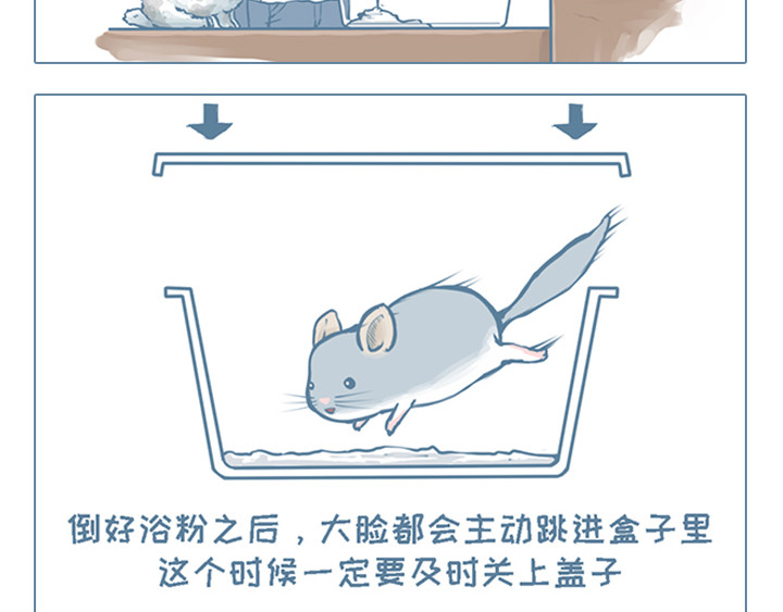 我家有只小龙猫 第4个小故事集合 第3页