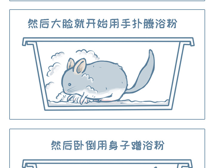 我家有只小龙猫 第4个小故事集合 第4页