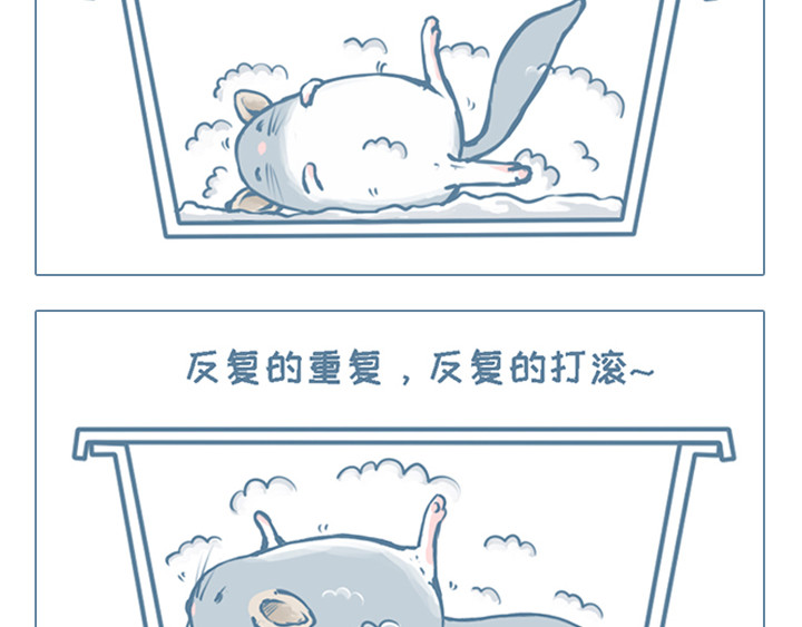 我家有只小龙猫 第4个小故事集合 第5页