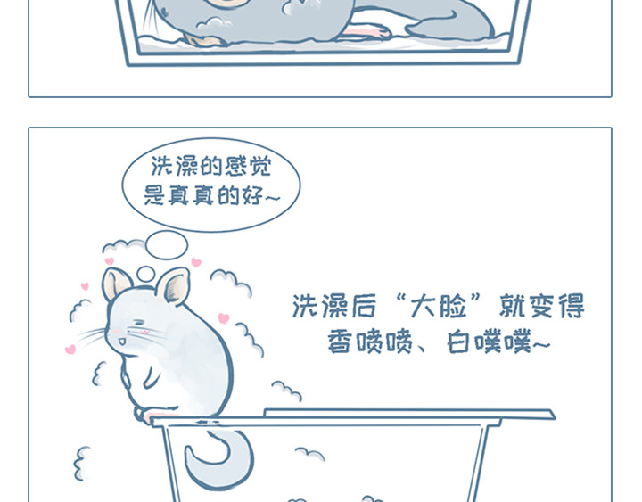 我家有只小龙猫 第4个小故事集合 第6页