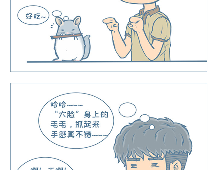 我家有只小龙猫 第5个小故事集合 第2页