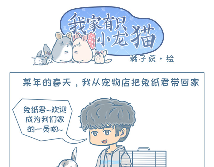 我家有只小龙猫 第5个小故事集合 第12页