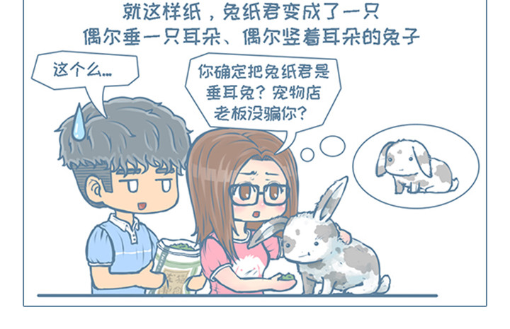 我家有只小龙猫 第5个小故事集合 第14页