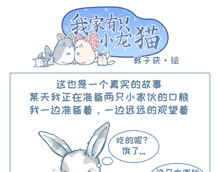 我家有只小龙猫 第5个小故事集合 第15页