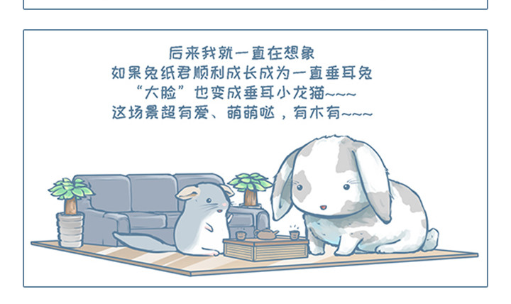 我家有只小龙猫 第5个小故事集合 第17页