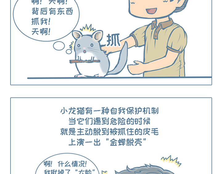 我家有只小龙猫 第5个小故事集合 第3页