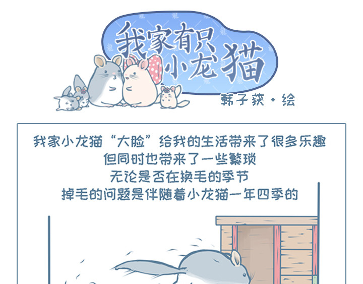 我家有只小龙猫 第5个小故事集合 第5页